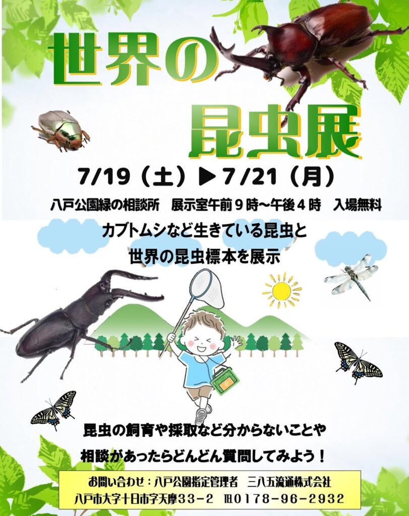 世界の昆虫展 @ 八戸公園緑の相談所